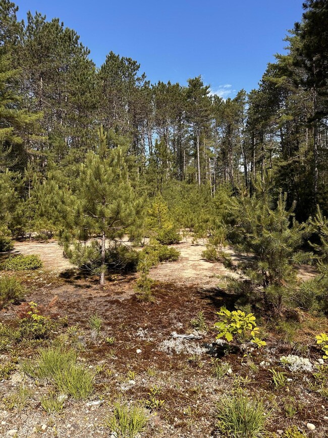 Potential Building Site