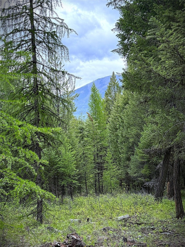 NHN Lagoon Dr, Trego, MT 59934 - photo 5