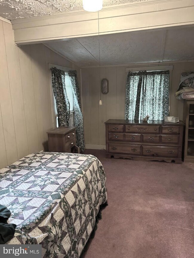 47 Chestnut Run Ln, Sperryville, VA 22740 - photo 6