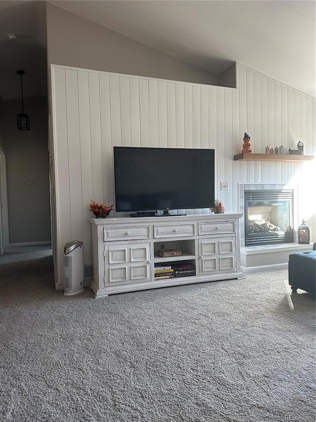 303 Virginia Rd unit C, Bailey, CO 80421 - photo 7