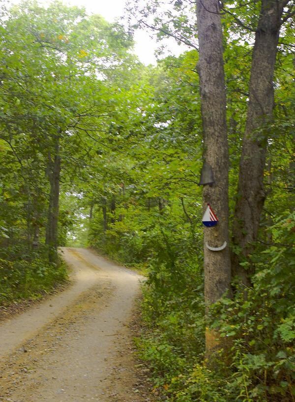 15 Massabesic Ave, Vineyard Haven, MA 02568 - photo 4