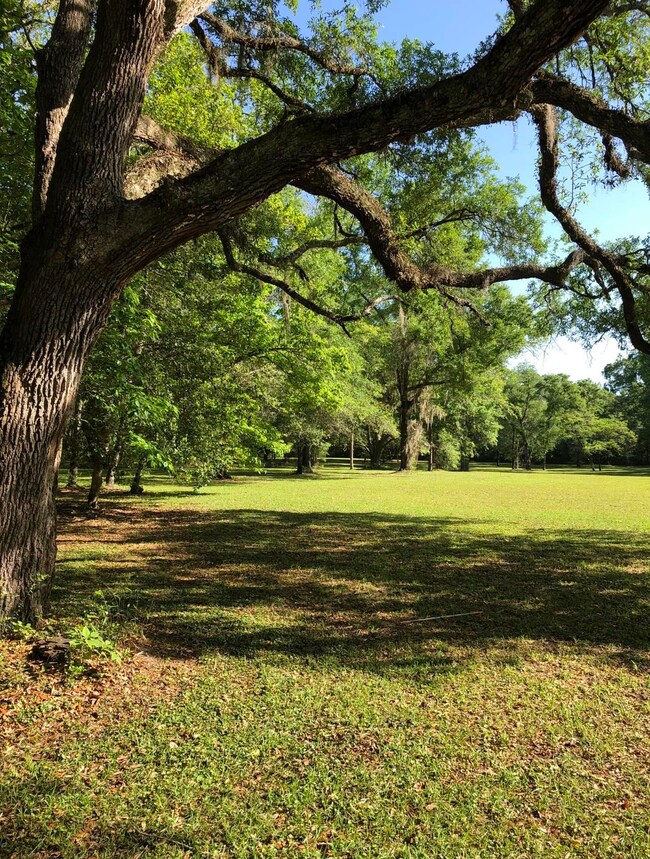 62 Hideaway Ln, Crawfordville, FL 32327 - photo 5