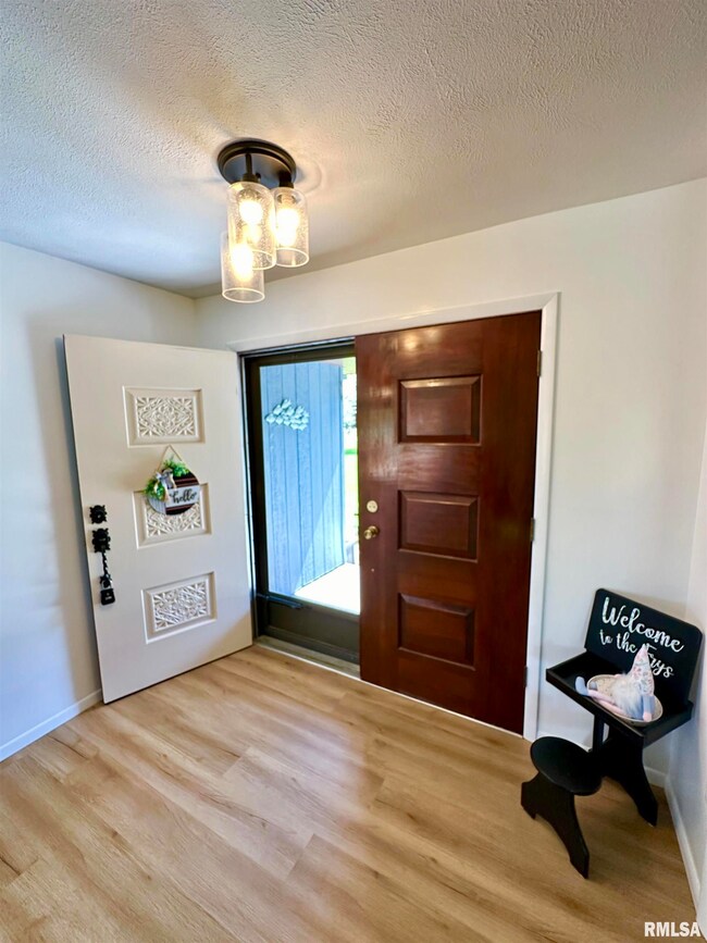 201 Leland Lake Dr, Jacksonville, IL 62650 - photo 5