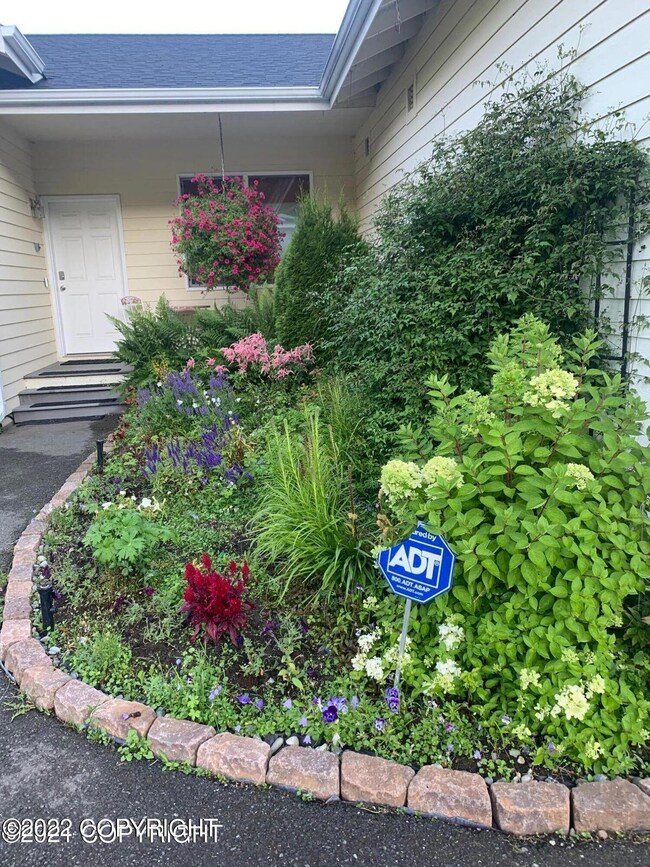 2 Beautiful Perennials, underground spri