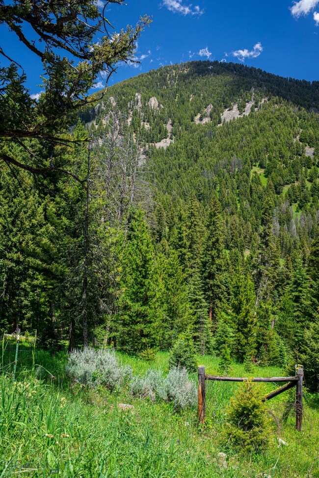 Tract 1A-1 Chief Joseph Trail, Big Sky, MT 59716 - photo 3