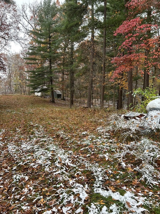 1294 Ohio 100, Bucyrus, OH 44820 - photo 5