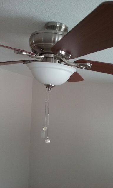 Palm fans