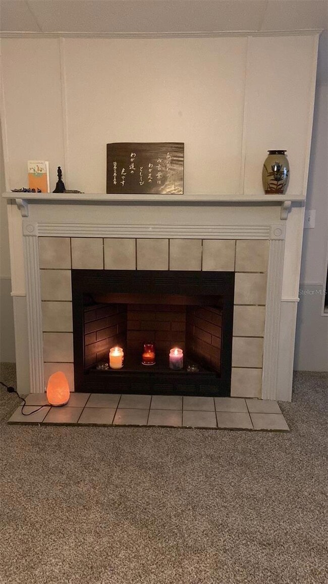 11743 Purdue St, New Port Richey, FL 34654 - photo 7