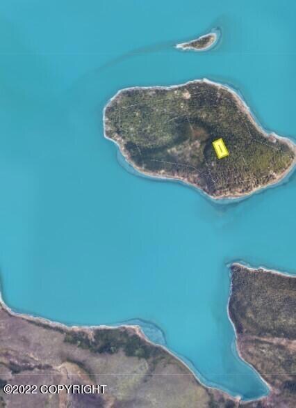 L33 B5 Caribou Island_3