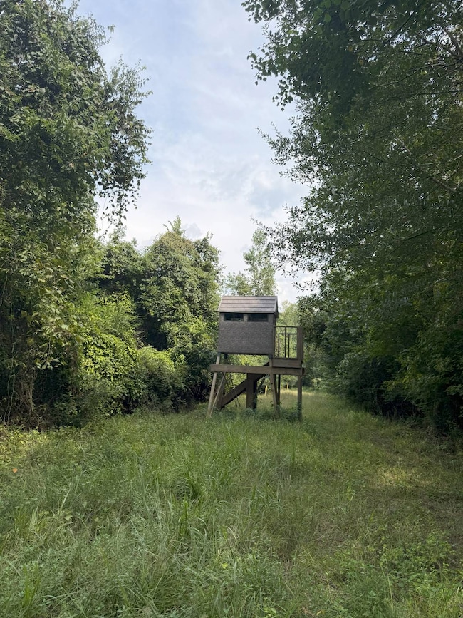 TBD Quitman Hwy, Hodge, LA 71268 - photo 6