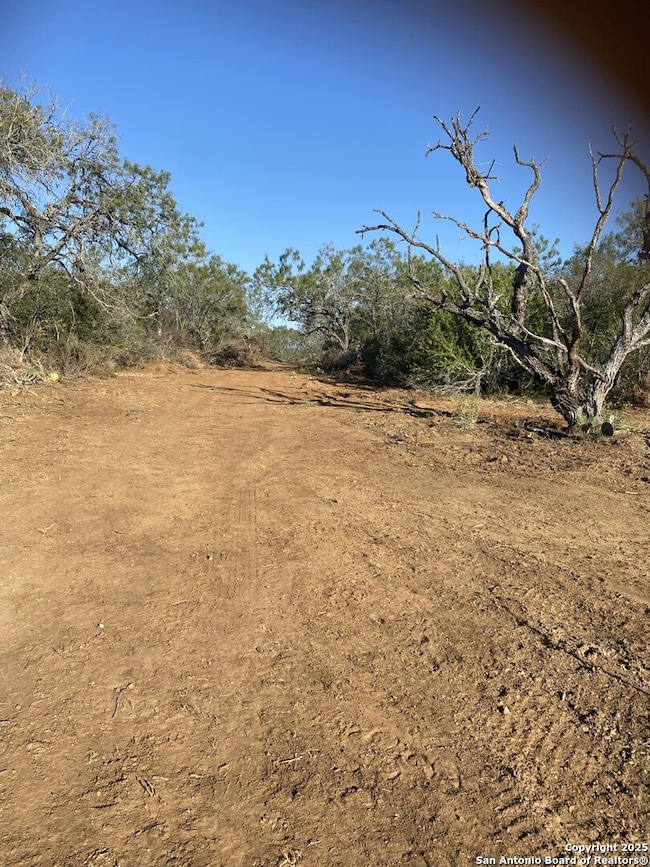 TBD Cr 168, Floresville, TX 78114 - photo 5