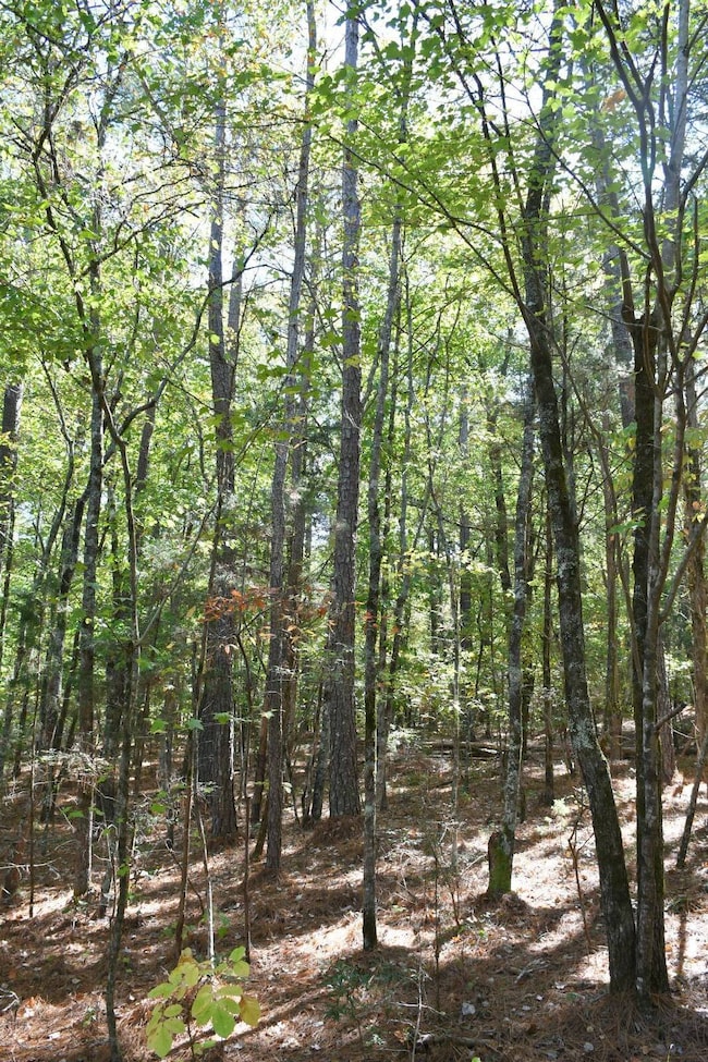 1350 Grover Wilson Rd, Blythewood, SC 29016 - photo 3