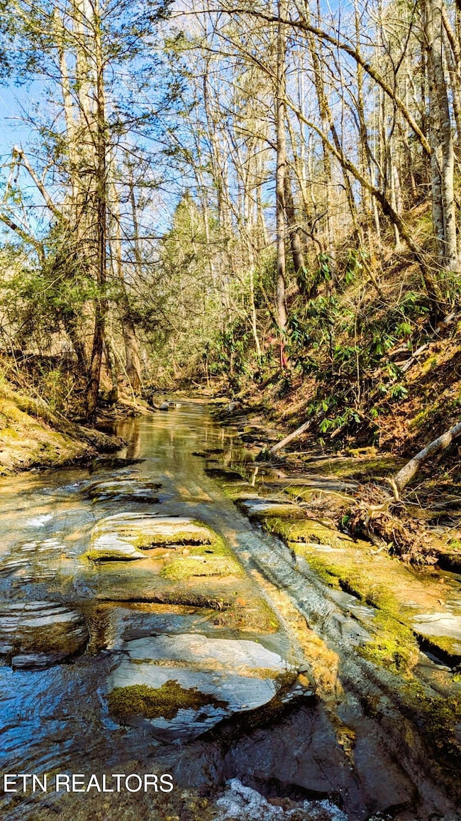 Creek to Cross to Property