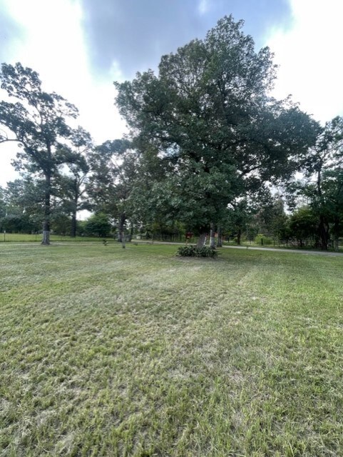 9110 Pine Ln, Magnolia, TX 77354 - photo 6