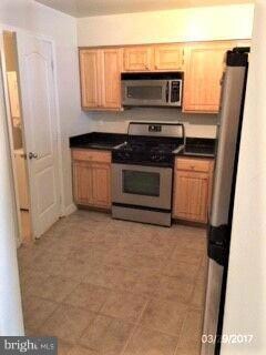 14101 Yorkshire Woods Dr, Silver Spring, MD 20906 - photo 6