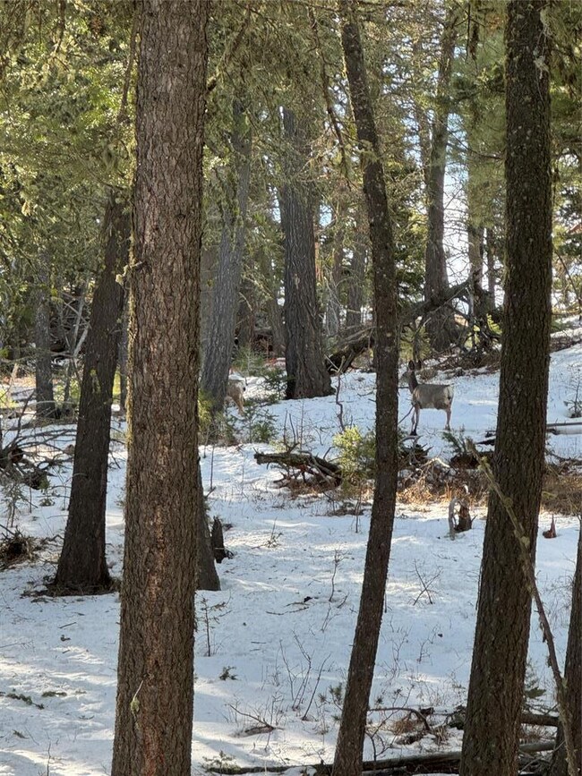 TBD Upper Sawmill Creek Ln, Other - See Remarks, MT 59421 - photo 6