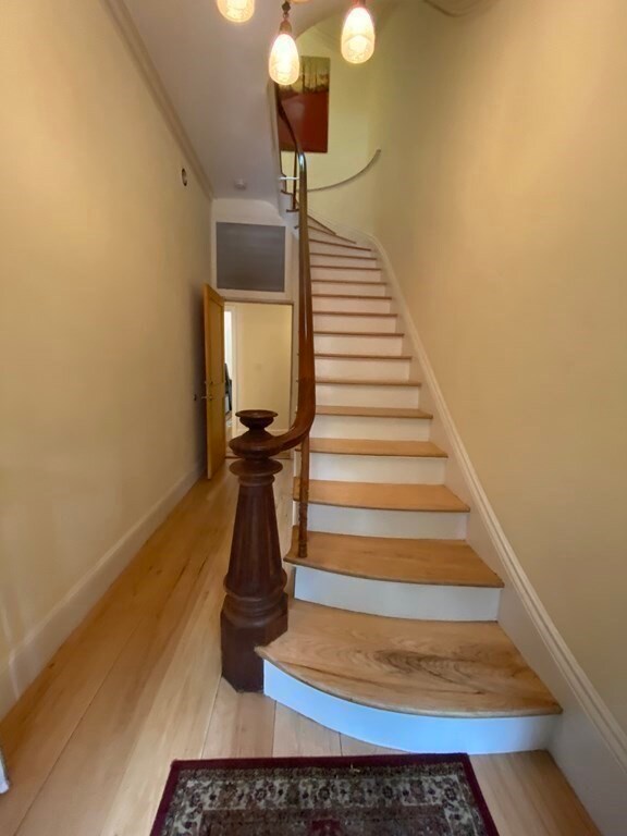 156 W Newton St, Boston, MA 02118 - photo 5
