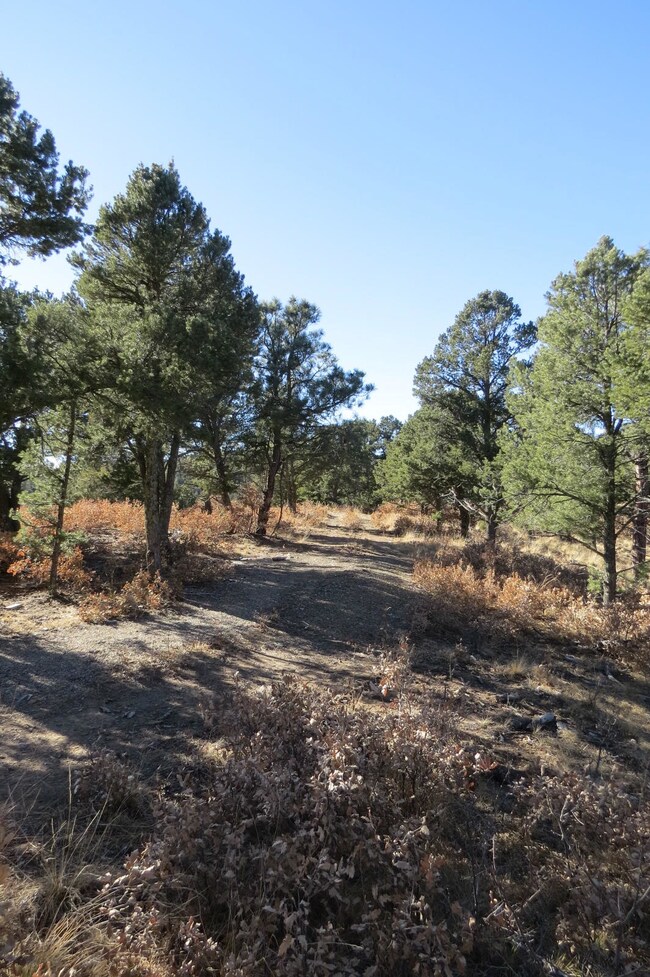 0 Raton Overlook unit Parcel 9 18-3, Trinidad, CO 81082 - photo 3