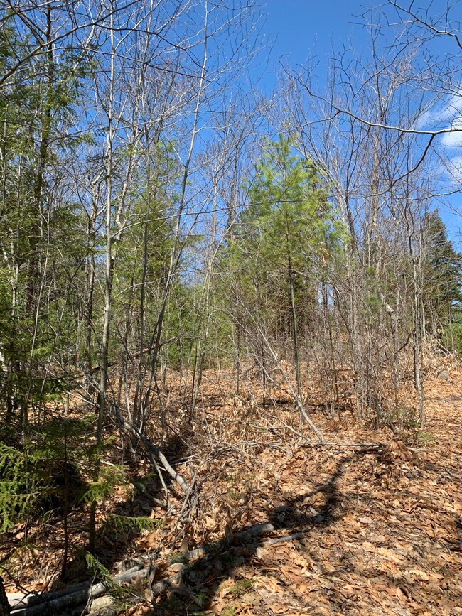 Lot 97B Frost Farm Rd, Bridgton, ME 04009 - photo 5