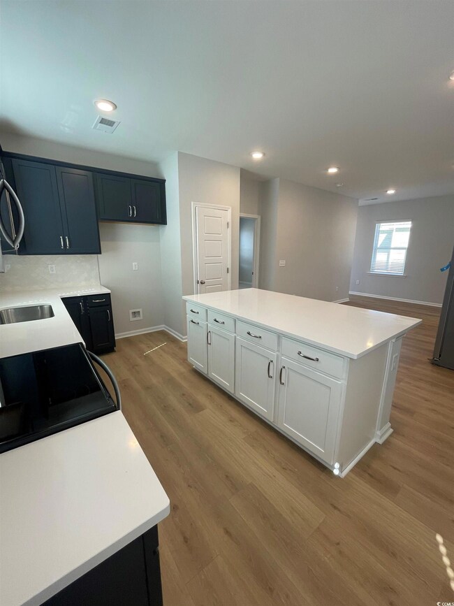 Kitchen with light wood-style floors, light counte