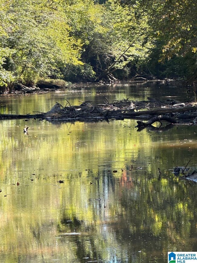 0 County Road 492 unit 1 21400533, Muscadine, AL 36269 - photo 3