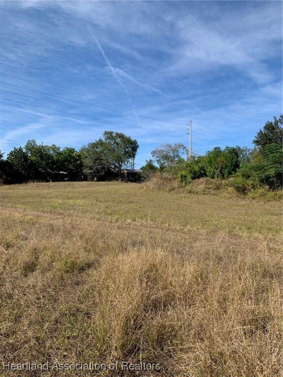 407 E Citico St, Avon Park, FL 33825 - photo 5