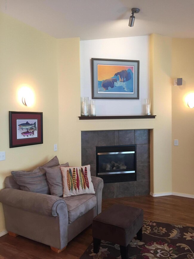 Living and fireplace