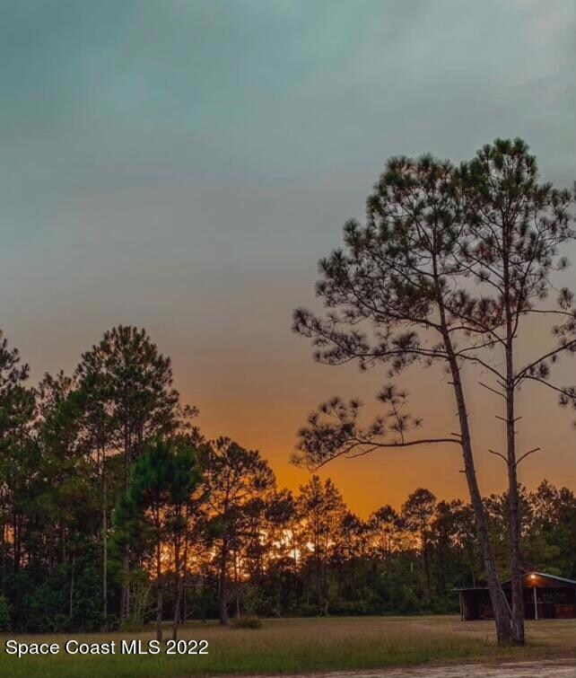 4658 Fir Rd, New Smyrna Beach, FL 32168 - photo 3