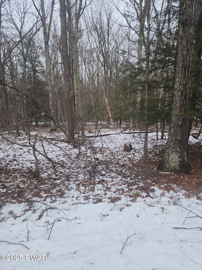 717 Paper Birch N, Tafton, PA 18464 - photo 2