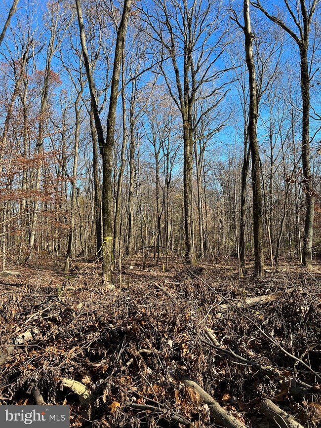 0 Twin County Rd unit PALA2027672, Morgantown, PA - photo 3