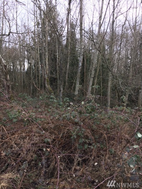 27505 Woodland Rd, Stanwood, WA 98292 - photo 3