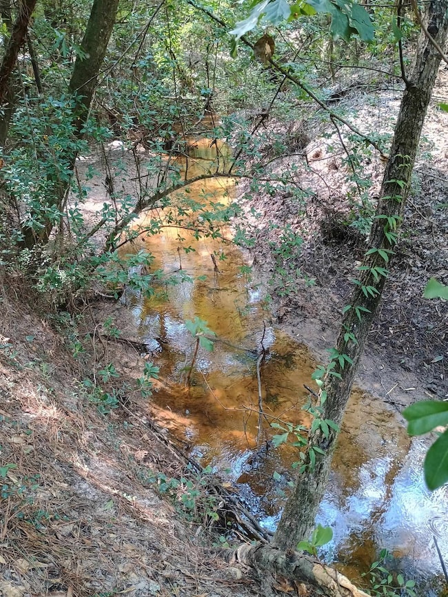 2905 County Road 441, Magnolia Springs, TX 75956 - photo 4