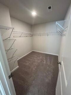 Walk in closet with visible vents and carpet floor