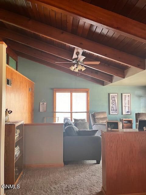 1401 1st Ave N, Jamestown, ND 58401 - photo 5