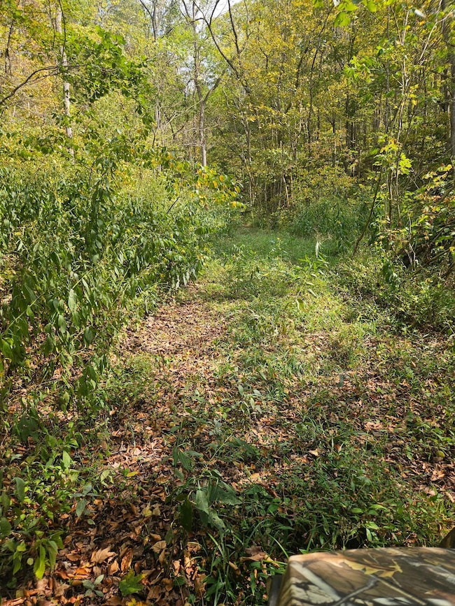 28661 Williams Farm Rd, Lower Salem, OH 45745 - photo 4