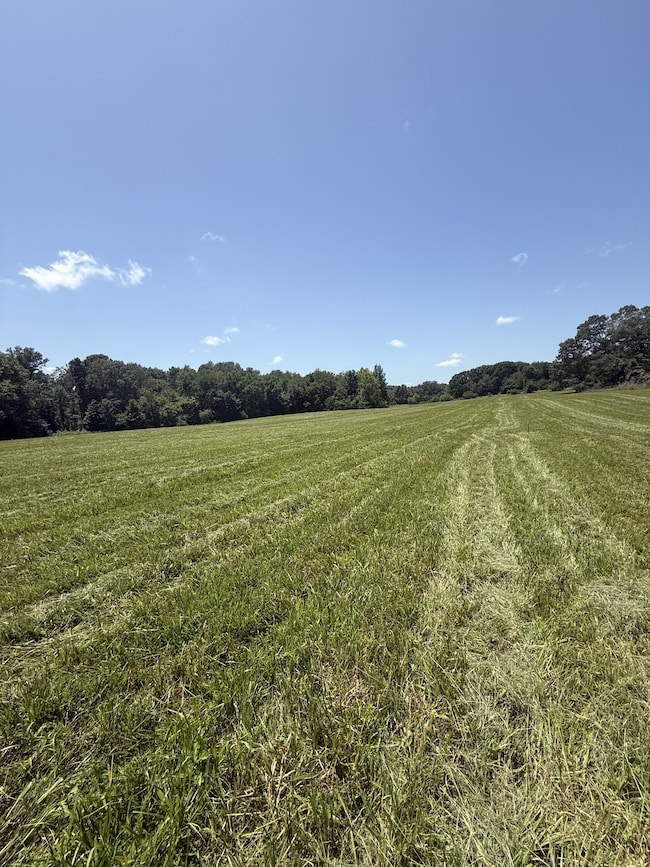 5 Pace Rd, Clarksville, TN 37043 - photo 4