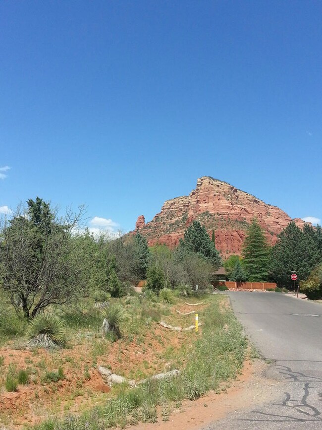 shirely vac land photo 4