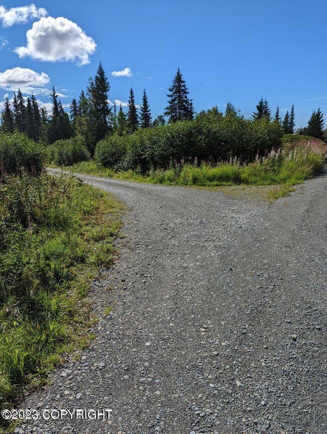 32680 Regal St, Anchor Point, AK 99556 - photo 6