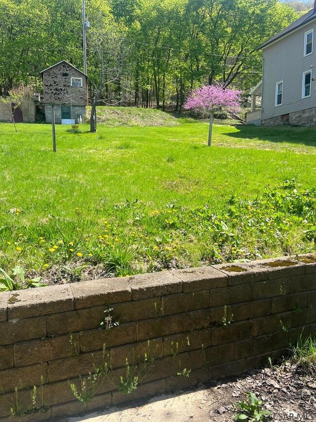 Some of the yard