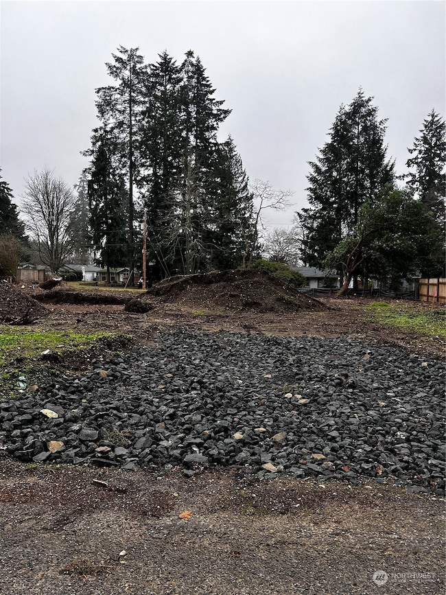 7509 13th Ave SE, Lacey, WA 98503 - photo 4