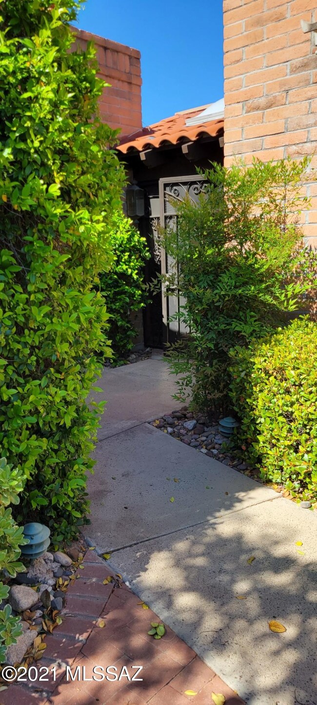 4504 N Camino Campero, Tucson, AZ 85750 - photo 6