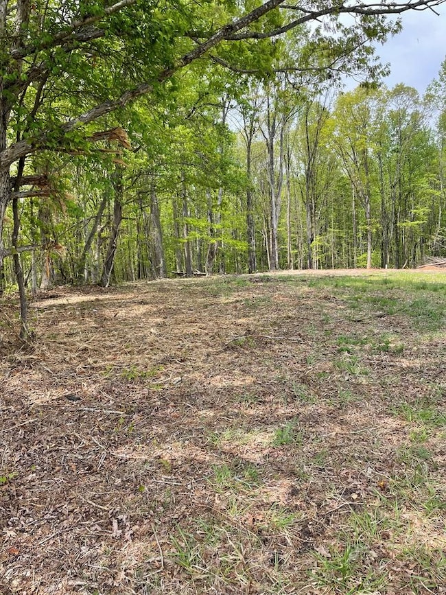 0 Snow Hill Rd unit 70970, Alton, VA 24520 - photo 2