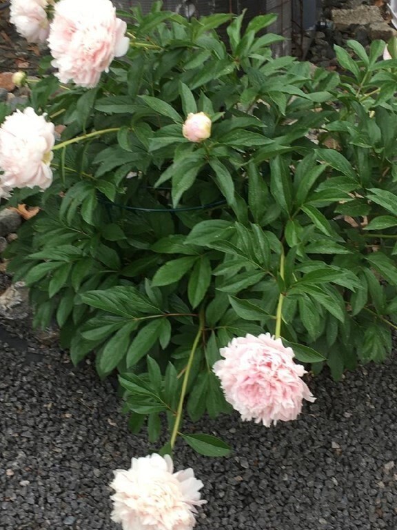 261 Newbury St unit 129C, Peabody, MA 01960 - photo 5