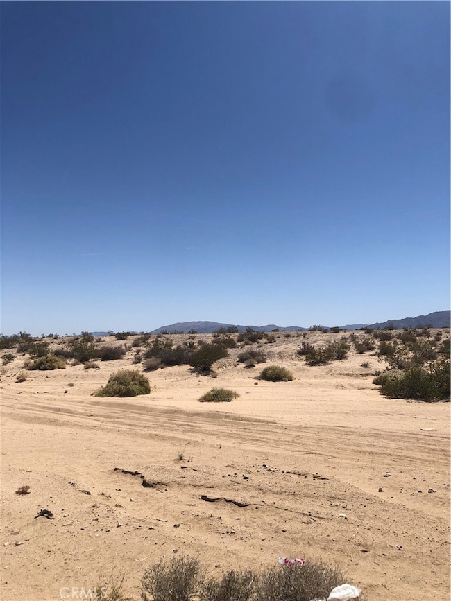 71440 Palmyra, Twentynine Palms, CA 92277 - photo 4