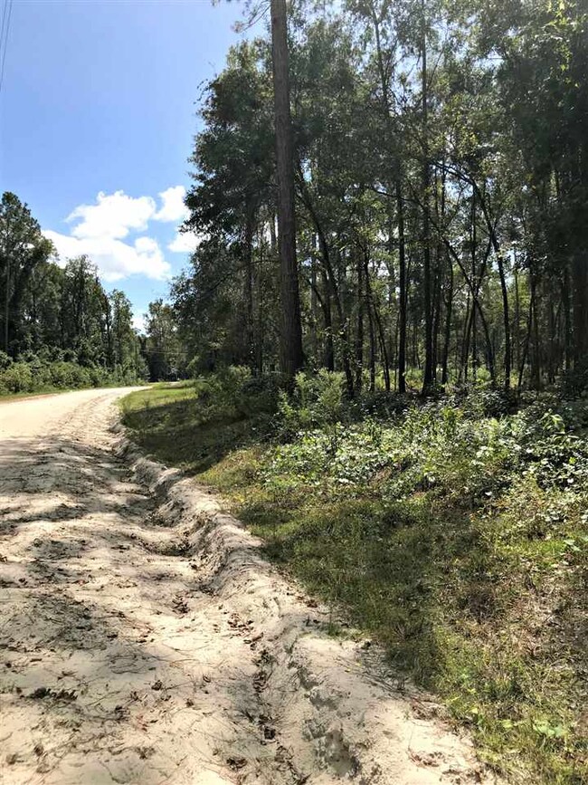 0 Casseaux Rd unit 296333, Crawfordville, FL 32327 - photo 7