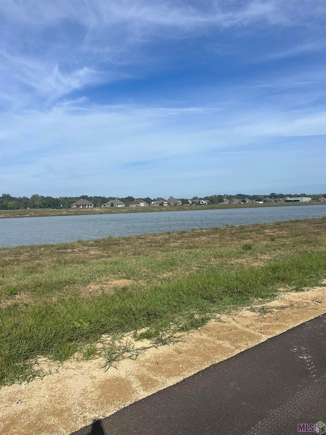 Lot # 23 Buddy Gore Rd, Gonzales, LA 70737 - photo 3