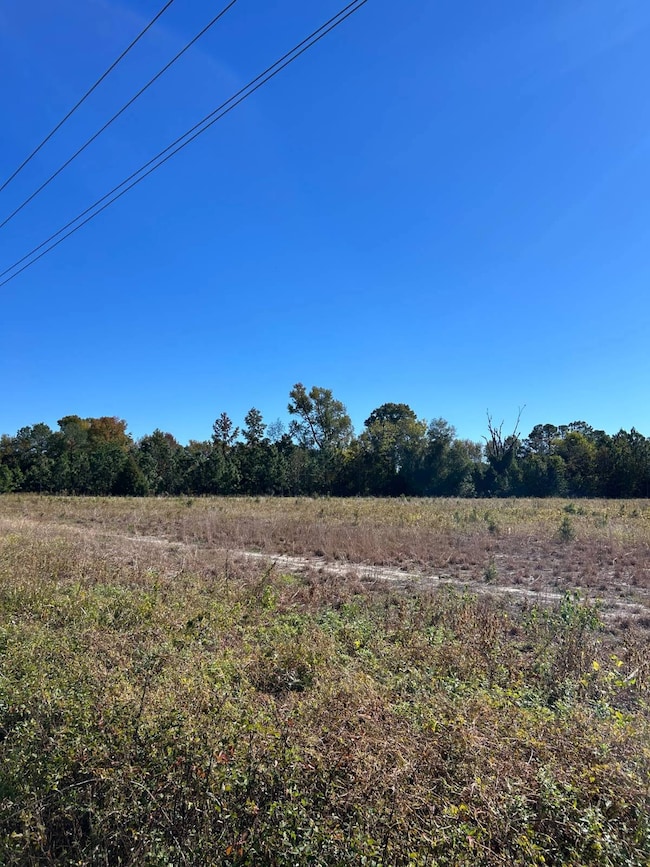 004 Old Wire Rd W, Wallace, SC 29596 - photo 4