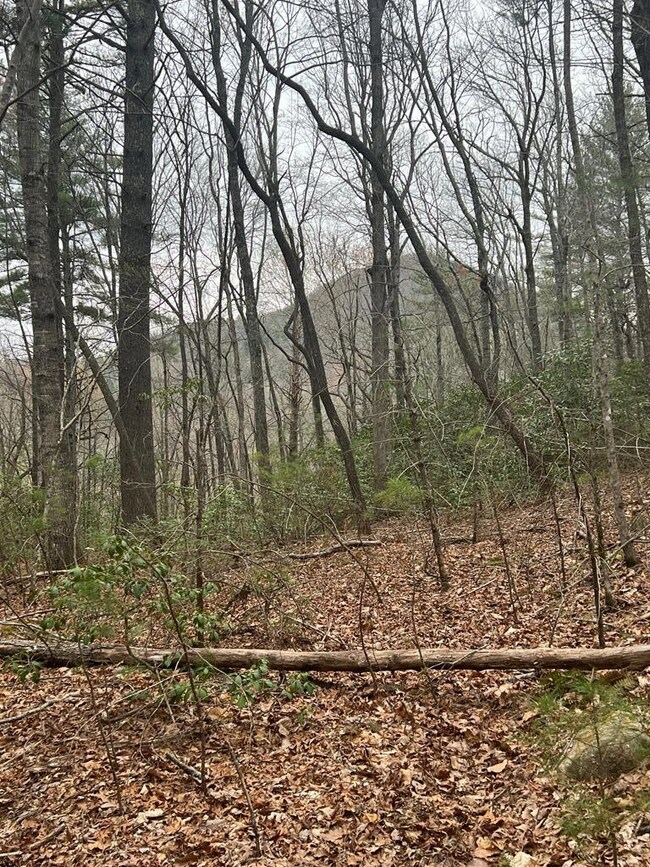 Tract 14 Eagles View, Highlands, NC 28741 - photo 2