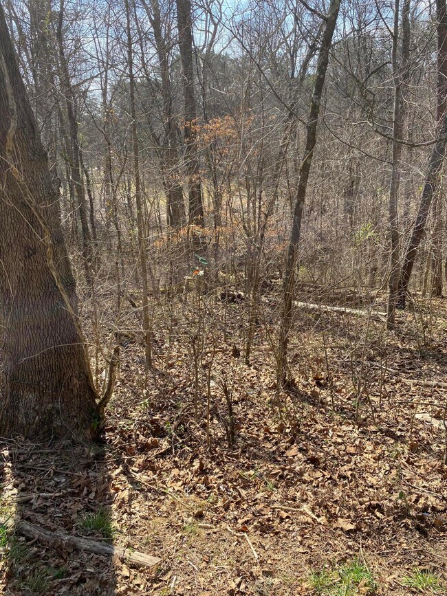 Lot 882 Stonegate Dr unit 3, Burnside, KY 42519 - photo 2