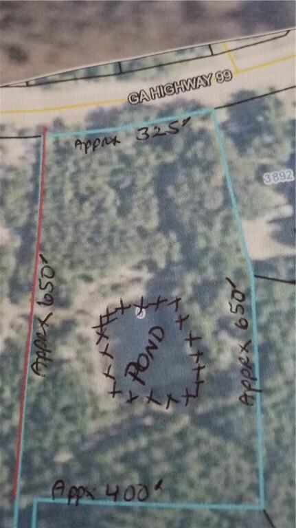 LOT81 Crescent Farm Hwy, Crescent, GA 31319 - photo 2